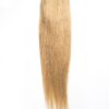 Coada Premium Blond Cenusiu Coada Premium Blond Cenusiu