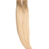 Extensii Tape-On Premium Blond Cenusiu
