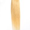 Coada Premium Blond Deschis Coada Premium Blond Deschis