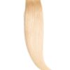 Extensii Tape-On Premium Blond Deschis