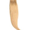 Extensii Tape-On Premium Blond Miere