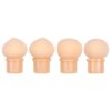 Burete Unghii Ombre Set cu 4 Rezerve pentru Pensula Baby Boomer LUXORISE