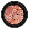 Decoratiuni Unghii Nail Art LUXORISE, Blissful Flowers Decoratiuni Unghii Nail Art LUXORISE, Blissful Flowers