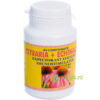 Cetraria + Echinaceea (Expectorant, Imunostimulator) 40cpr