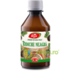 Sirop Ridiche Neagra (R28) 250ml