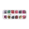 Flori Uscate Unghii LUXORISE - Flower Essence, 12 modele Flori Uscate Unghii LUXORISE - Flower Essence, 12 modele