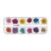 Flori Uscate Unghii LUXORISE - Flower Romance, 12 modele Flori Uscate Unghii LUXORISE - Flower Romance, 12 modele