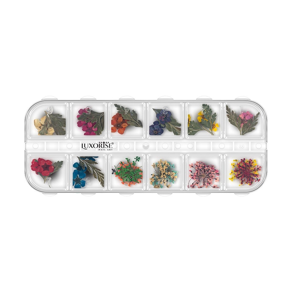 Flori Uscate Unghii LUXORISE - Flower Serenade, 12 modele Flori Uscate Unghii LUXORISE - Flower Serenade, 12 modele