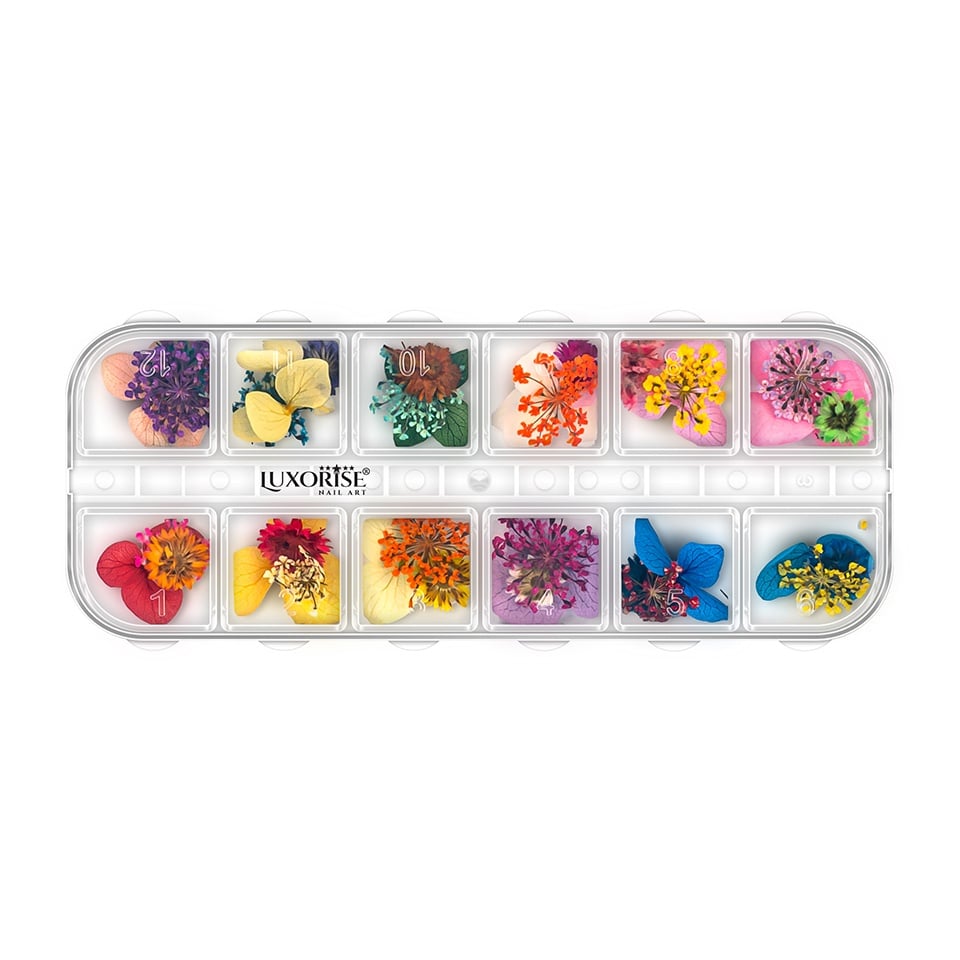 Flori Uscate Unghii LUXORISE - Grace Touch, 12 modele Flori Uscate Unghii LUXORISE - Grace Touch, 12 modele