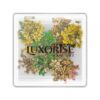 Flori Uscate Unghii LUXORISE - Mirage Meadow Flori Uscate Unghii LUXORISE - Mirage Meadow