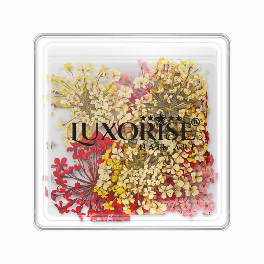 Flori Uscate Unghii LUXORISE - Mystic Flowers Flori Uscate Unghii LUXORISE - Mystic Flowers