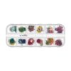 Flori Uscate Unghii LUXORISE - Petals Oasis, 12 modele Flori Uscate Unghii LUXORISE - Petals Oasis, 12 modele