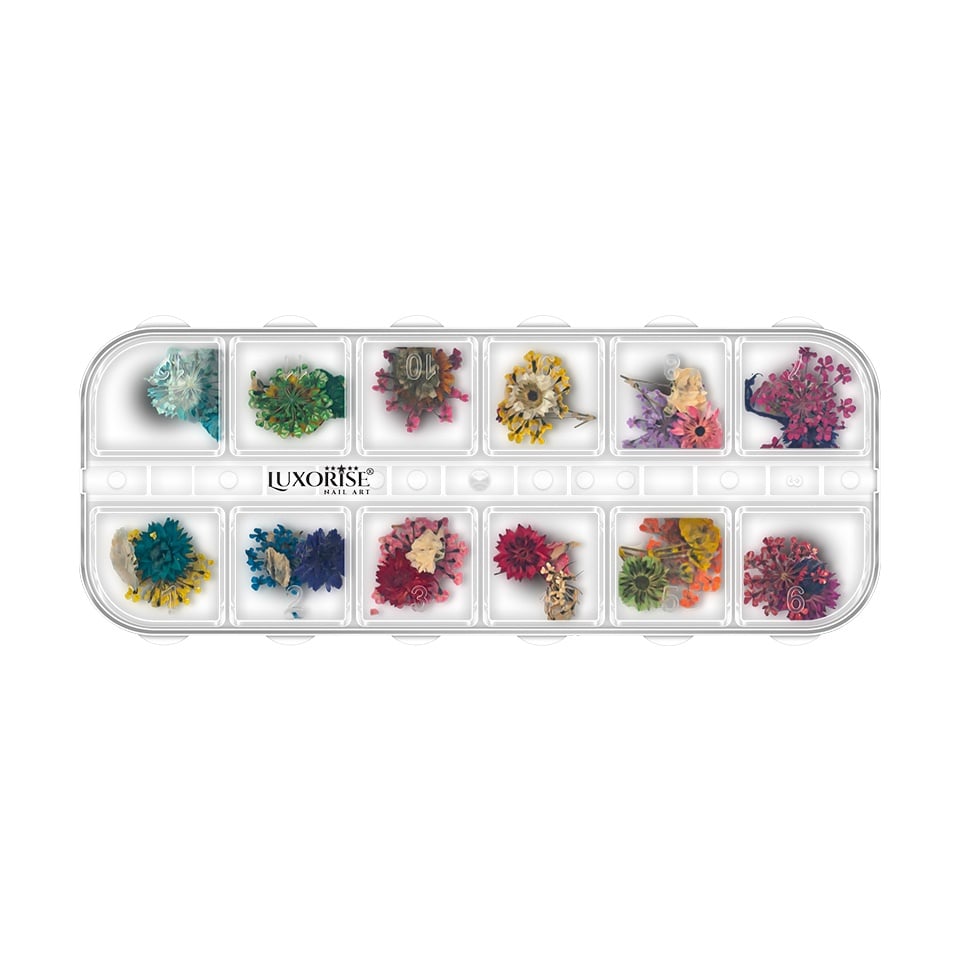 Flori Uscate Unghii LUXORISE - Petals Oasis, 12 modele Flori Uscate Unghii LUXORISE - Petals Oasis, 12 modele