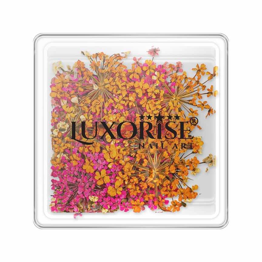 Flori Uscate Unghii LUXORISE - Secret Blossom Flori Uscate Unghii LUXORISE - Secret Blossom