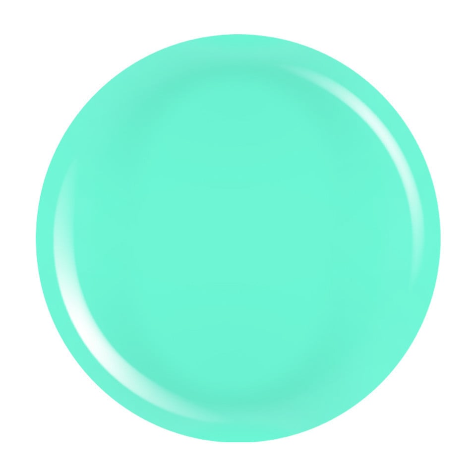 Gel Colorat UV PigmentPro LUXORISE - Mint Chip, 5ml Gel Colorat UV PigmentPro LUXORISE - Mint Chip, 5ml