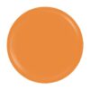 Gel Colorat UV SensoPRO Milano Expert Line - Ginger Snap 5ml Gel Colorat UV SensoPRO Milano Expert Line - Ginger Snap 5ml