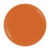Gel Colorat UV SensoPRO Milano Expert Line - Gingerbread House 5ml Gel Colorat UV SensoPRO Milano Expert Line - Gingerbread House 5ml