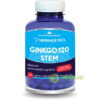 Ginkgo 120 Stem 120Cps
