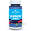 Ginkgo 120 Stem 30cps