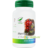 Merisor 60cps