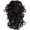 Coada Ondulata Cleste Negru Natural