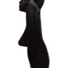 Extensii Flip-in VIP Negru Natural