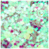 Paiete hexa effect lime