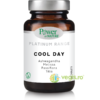 Cool Day (Ashwaganda, Roinita, Passiflora, Tei) Platinum 30tb