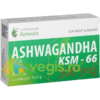 Ashwagandha KSM-66 500mg 30cps