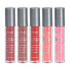 Set 5 Rujuri Lichide Mate Teayason Matte Lipgloss #B Set 5 Rujuri Lichide Mate Teayason Matte Lipgloss #B