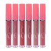 Set 6 Rujuri Lichide Mate Ranee Matte Dipgloss Set