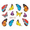 Tatuaj Unghii LUXORISE Butterfly Impression, BN-1649 Tatuaj Unghii LUXORISE Butterfly Impression, BN-1649