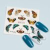 Tatuaj Unghii LUXORISE Butterfly Style, BN-1645 Tatuaj Unghii LUXORISE Butterfly Style, BN-1645